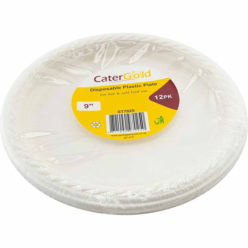 Reusable Plastic Plate 9" 12 pk
