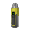 Wasp Yellow