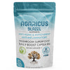 NTURE Agaricus Blazel Mushroom Capsules 2000mg 60pk