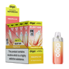 Pineapple Ice / Pack of 5